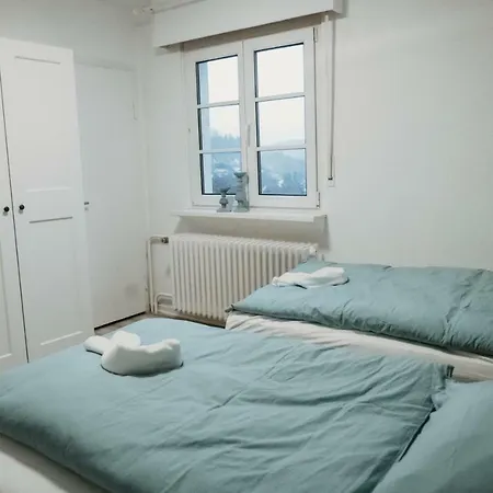 Schneeweiss Holiday home *