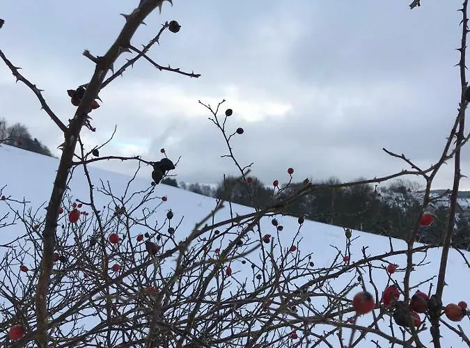 Schneeweiss *